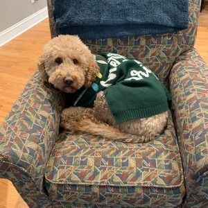 Hi I’m Christina!  💥Posh Ambassador💥